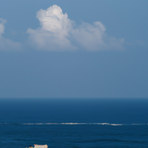 5. נוף האוקיינוס המהפנט מחדר במלון Ocean View